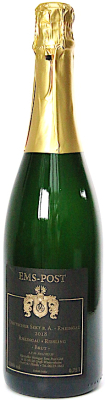 S3 - 2021er Rheingau Riesling -brut- - 